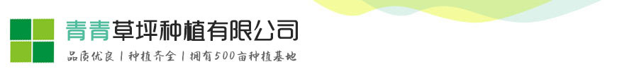尊龙最新网址,d88尊龙集团官网